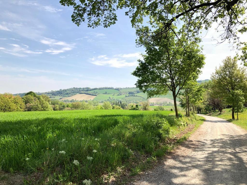 Agriturismo Molino Nuovo คาสเทลซานเปียโตรแตร์เม ภายนอก รูปภาพ